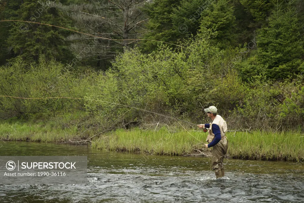 Fly fishing for spring brook trout in Algonquin park, Ontario, Canada