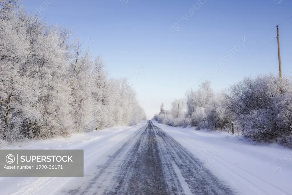 Country winter road _ Edmonton, Alberta, Canada