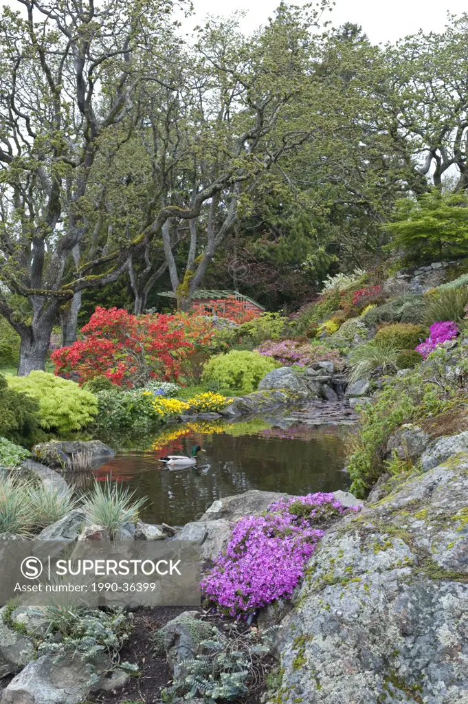 Abkhazi Garden in spring time, Victoria, British Columbia, Canada