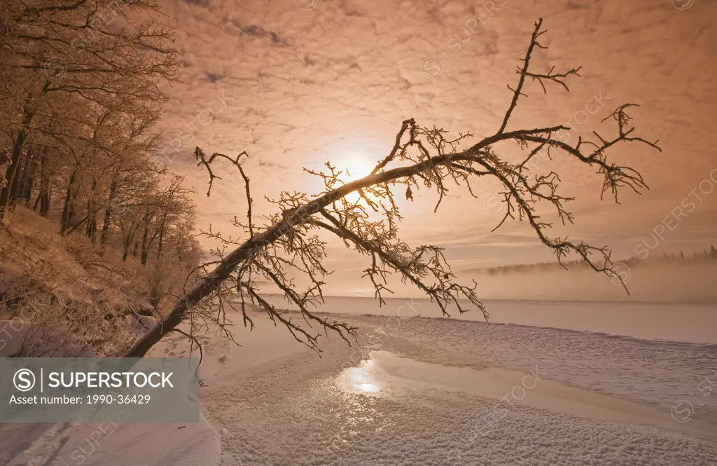winter along the Winnipeg River, near Seven Sisters, Manitoba, Canada