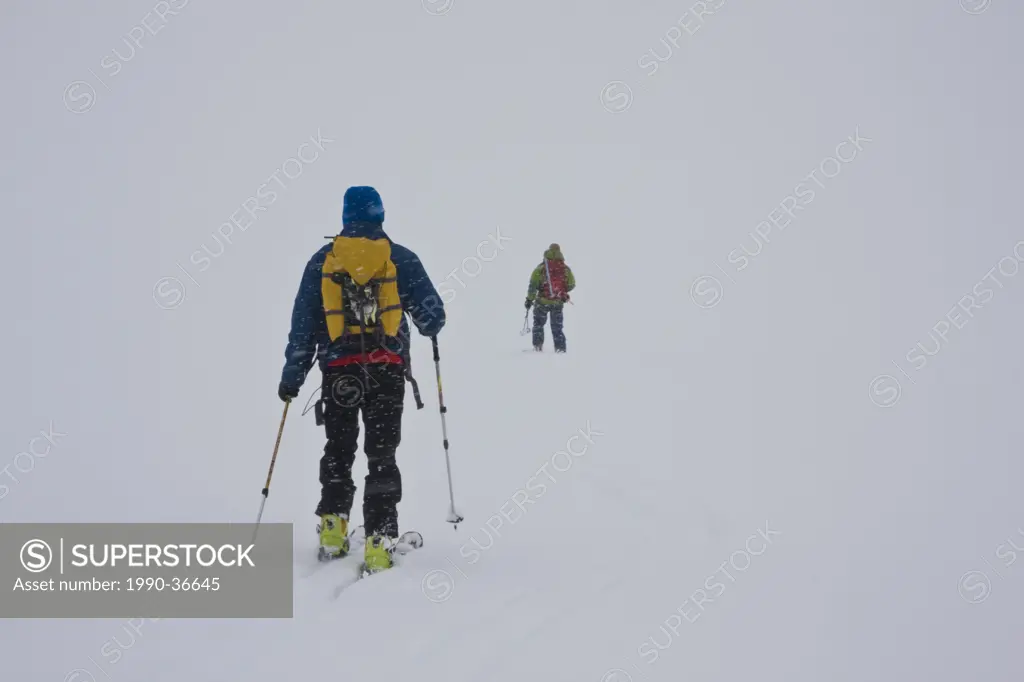 Men cross_country skiing, Columbia Icefields, Jasper National Park, Alberta, Canada