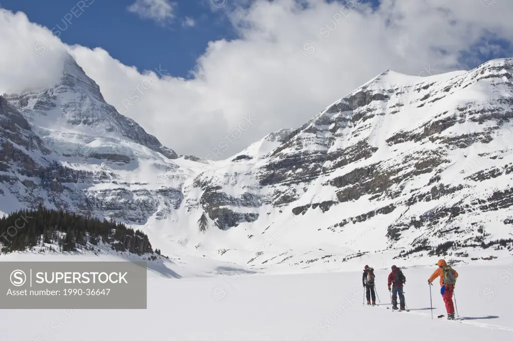 Three people cross_country skiing, Mount Assiniboine, Mount Assiniboine Provincial Park, British Columbia, Canada