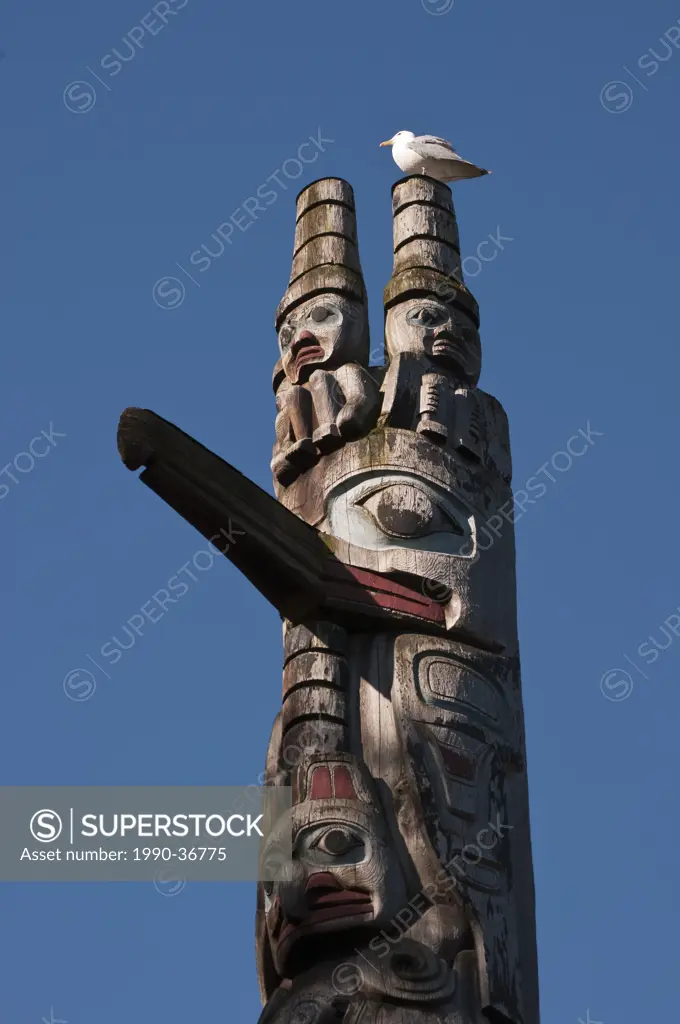 Haida style Totem Pole and glaucous gull, Thunderbird Park, BC Museum, Victoria, British Columbia, Canada