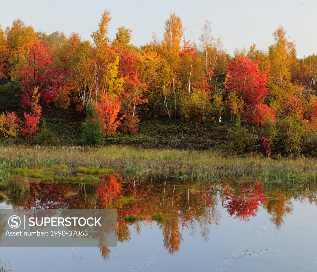 Autumn reflections in beaver pond. Greater Sudbury, Ontario, Canada.