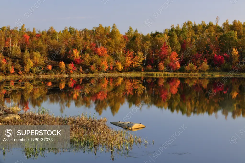 Autumn reflections in beaver pond. Greater Sudbury, Ontario, Canada.