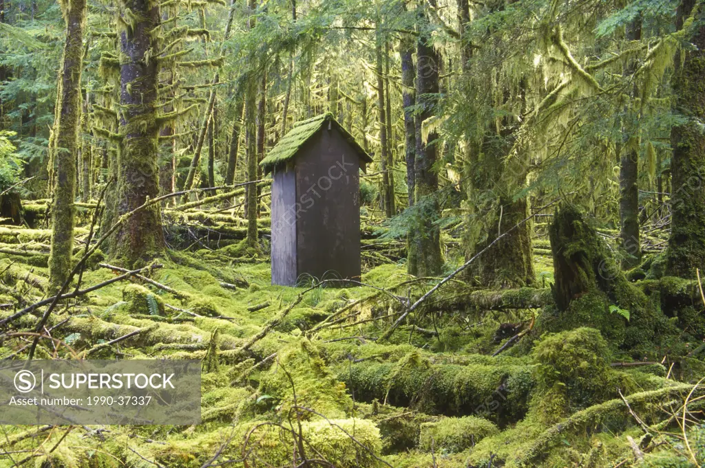 Weathered outhouse in the rainforest, Skidegate, Haida Gwaii Queen Charlotte Islands, British Columbia, Canada.