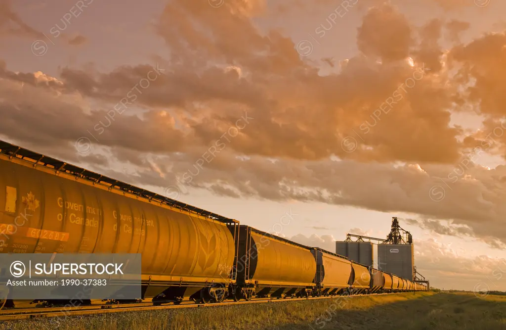 inland grain terminal with rail hopper cars in the foreground, near Estevan, Saskatchewan, Canada