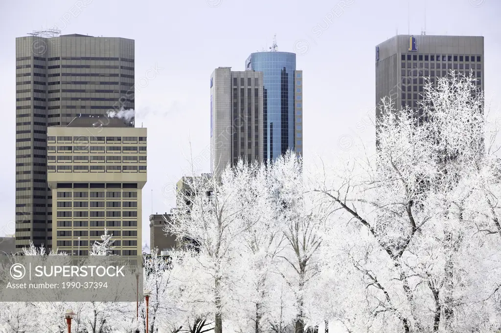 Downtown Winnipeg skyline on a frosty winter day. Winnipeg, Manitoba, Canada.