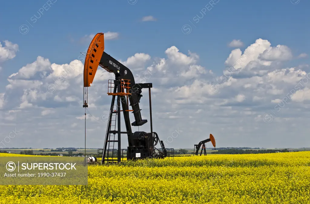 Oil Pumpjack in canola field, South West Manitoba, Canada.