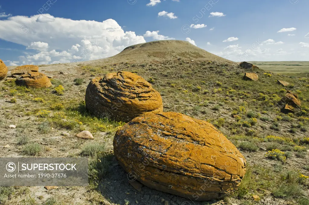 Sandstone concretions in Red Rock Coulee Natural Area, Alberta, Canada