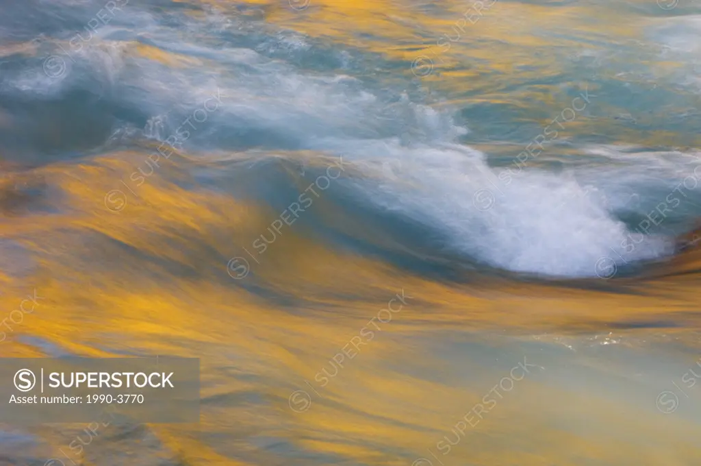 Standing waves, boulders and autumn reflections in Kicking Horse River, Canada