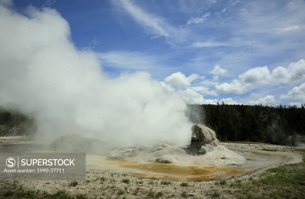 Grotto Geyser. Yellowstone National Park, Wyoming, United States of America.