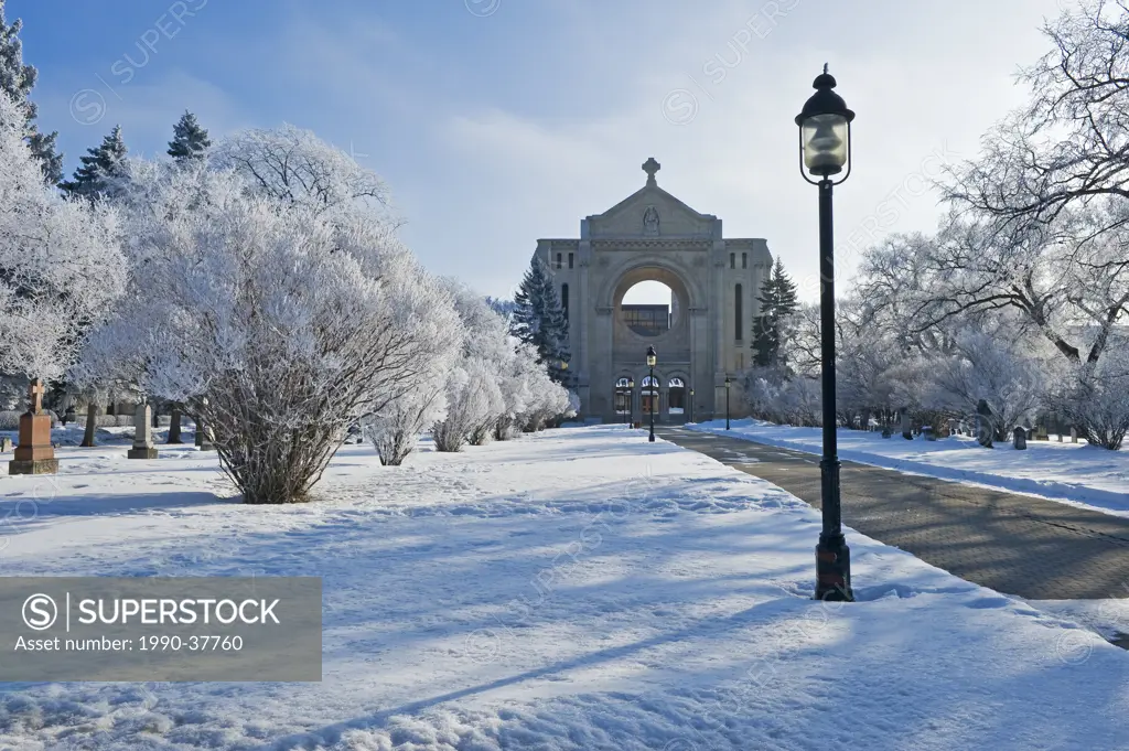 hoar frost on trees with St. Boniface Cathedral in the background, Winnipeg, Manitoba, Canada