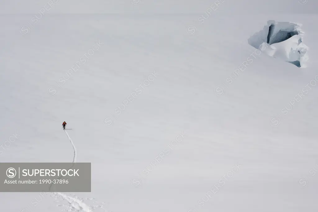 Man cross_country skiing, Columbia Icefields, Jasper National Park, Alberta, Canada