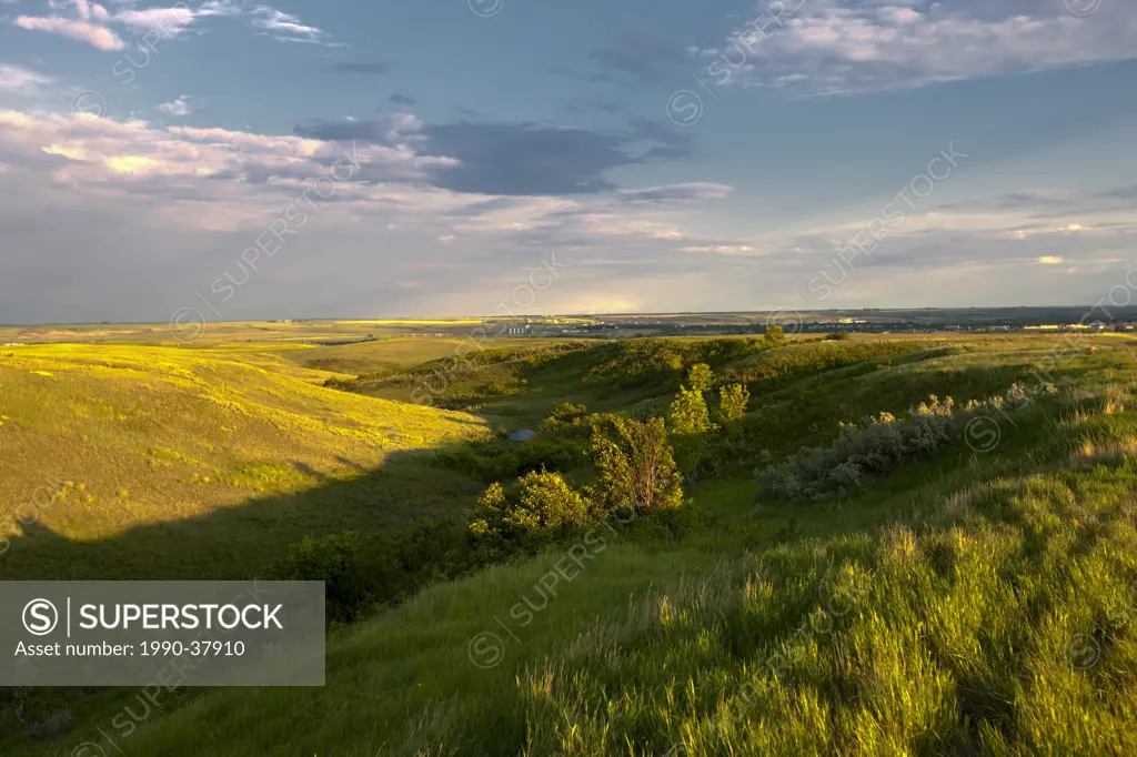 Prairie near Moose Jaw, Saskatchewan, Canada.