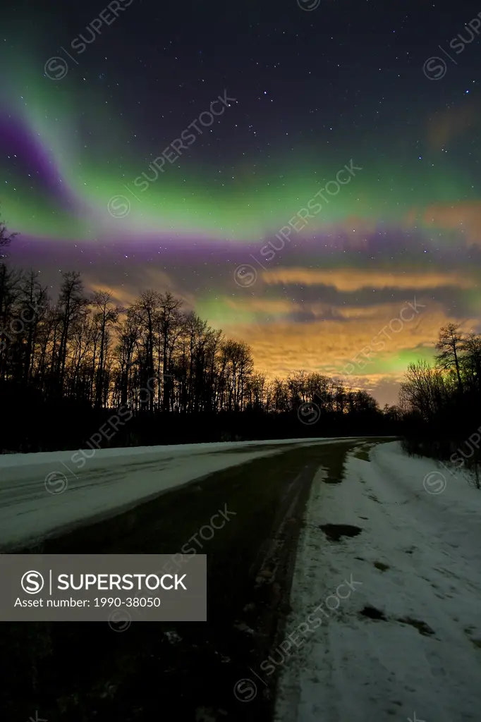 Aurora borealis northern lights curtains of light on road in winter in Elk Island National Park, Alberta, Canada.