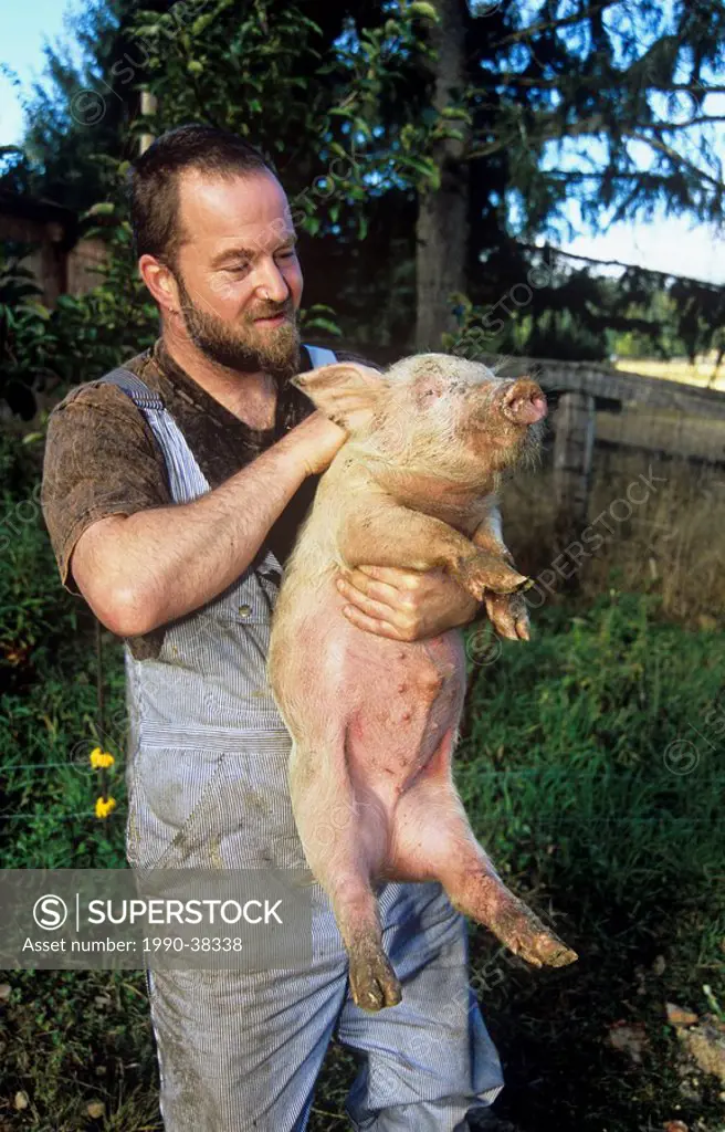 Metchosin farmer and piglet Victoria, British Columbia, Canada