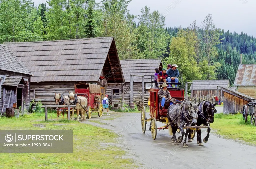 Stage coach ride in Barkerville, british columbia, canada