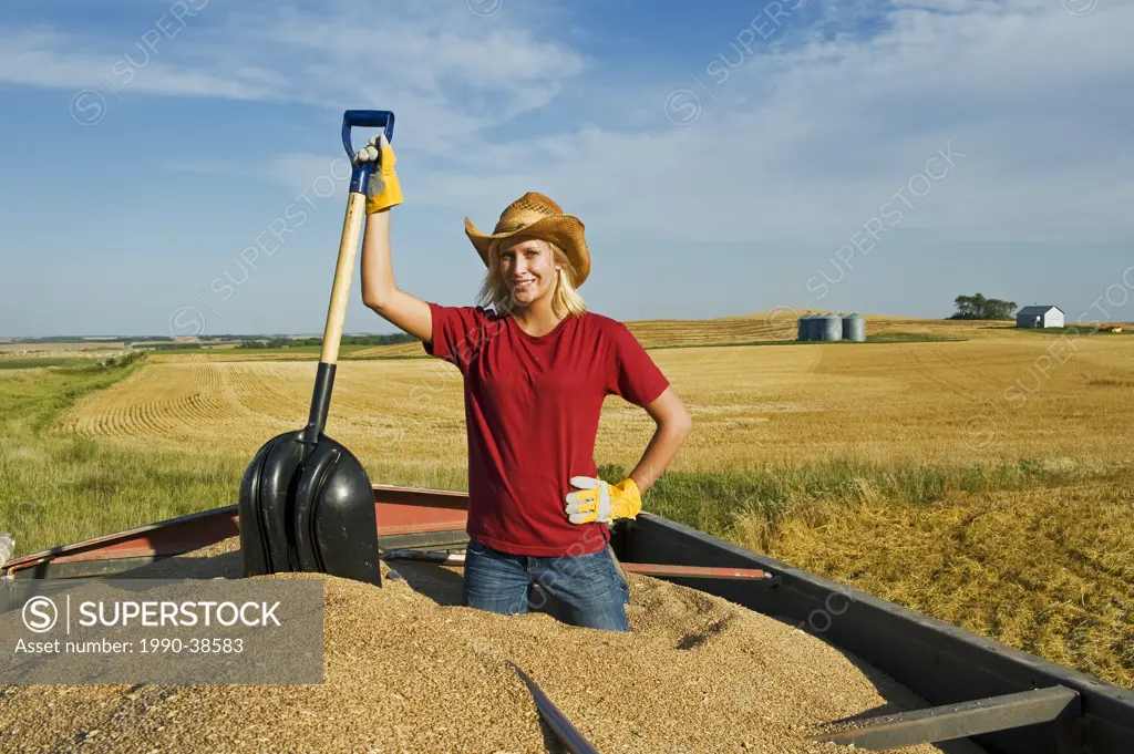 a girl holding a shovel, looks out from the back of a grain truck loaded with wheat, Tiger Hills, Manitoba, Canada