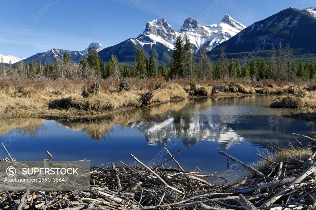 Beaver dammed creek and The Three Sisters peaks near Canmore, Alberta, Canada.