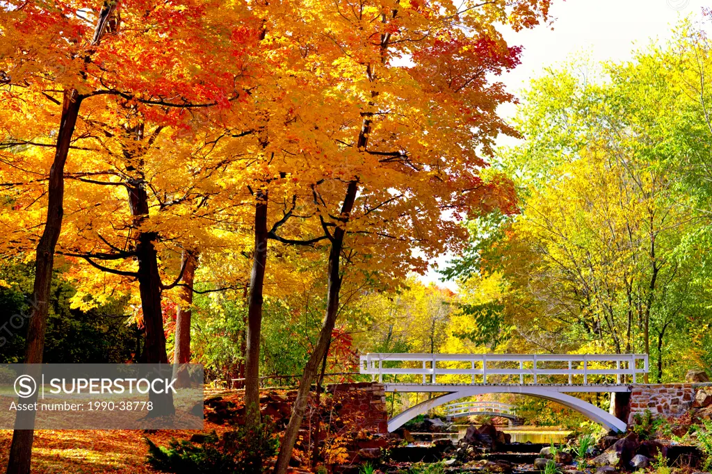 Bridge in Autumn in Jean_Drapeau Park, Montreal, Quebec, Canada.