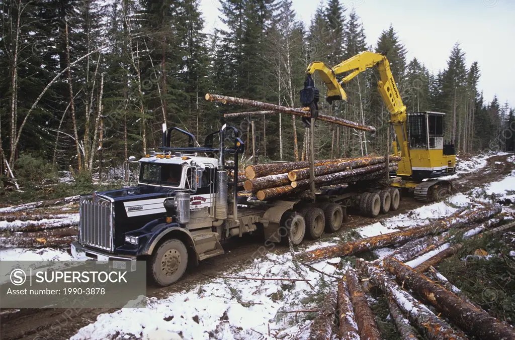 Grapple loader loading logs onto waiting logging truck  Cutblock just south of Courtenay, Vancouver Island, british columbia, canada