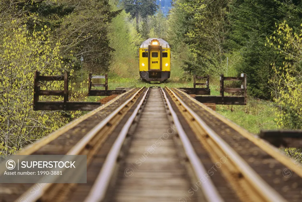 E&N train crossing wooden train tressle near the Trent river south of Courtenay, vancouver island, british columbia, canada
