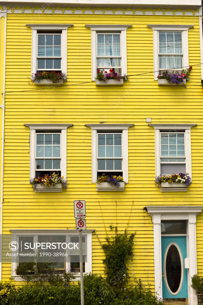 Window Boxes on row house on Queen Road, St. John´s, Newfoundland and Labrador, Canada.