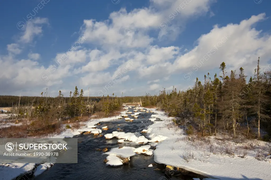 Brook in winter near Brigus South, Newfoundland and Labrador, Canada.