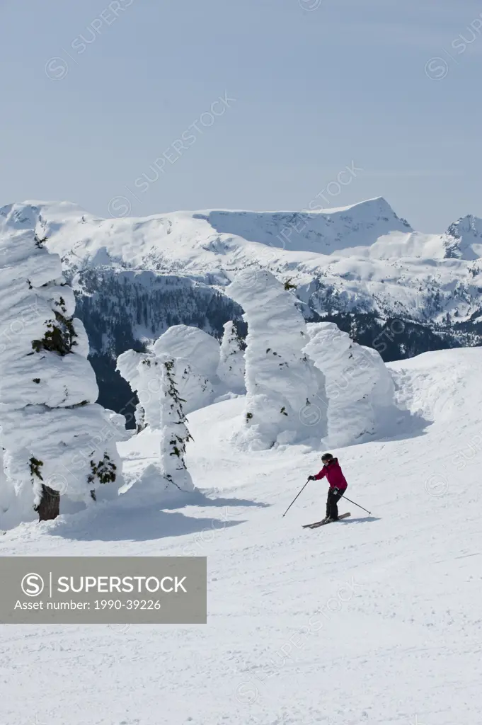 Mount Washington ski resort, Comox Valey area, Vancouver Island, BC, Canada