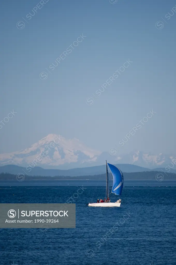 Sailboats with spinnakers from Royal Victoria Yacht Club and Mt Baker, Victoria, British Columbia, Canada