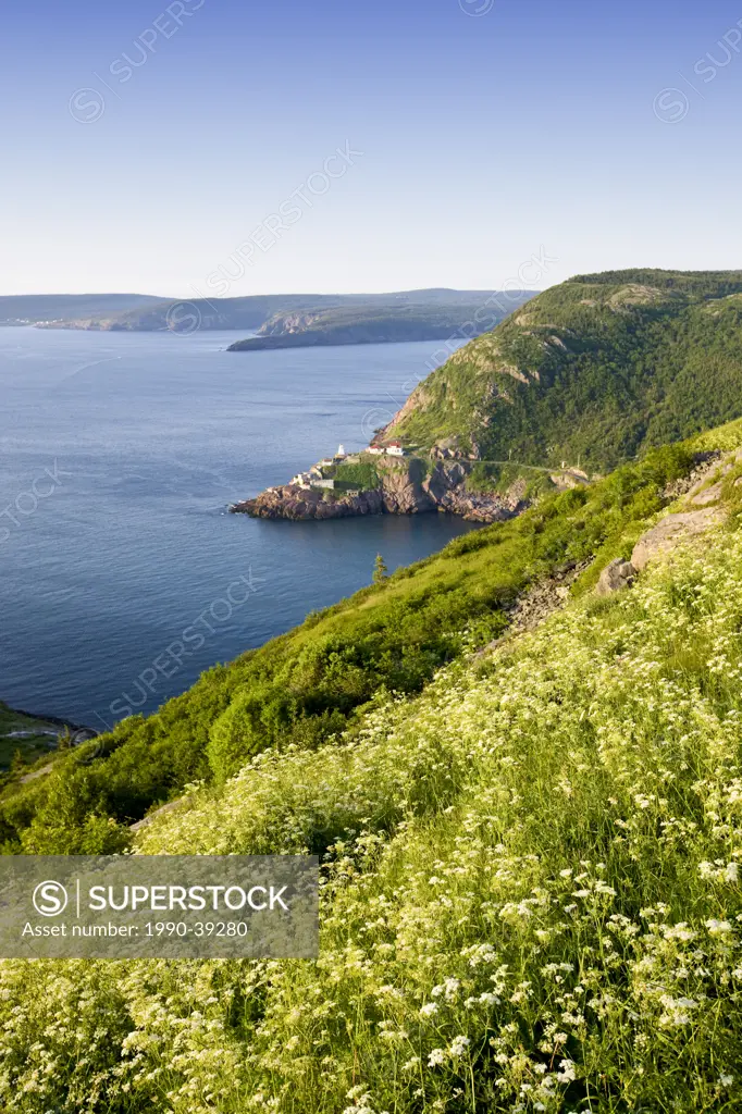View from Signal Hill National Historic Site, St. John´s, Newfoundland and Labrador, Canada.