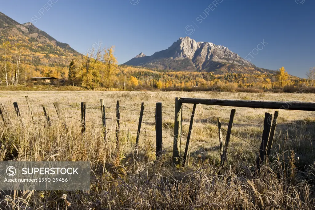 Field and Mount Hosmer in autumn near Fernie, BC, Canada.