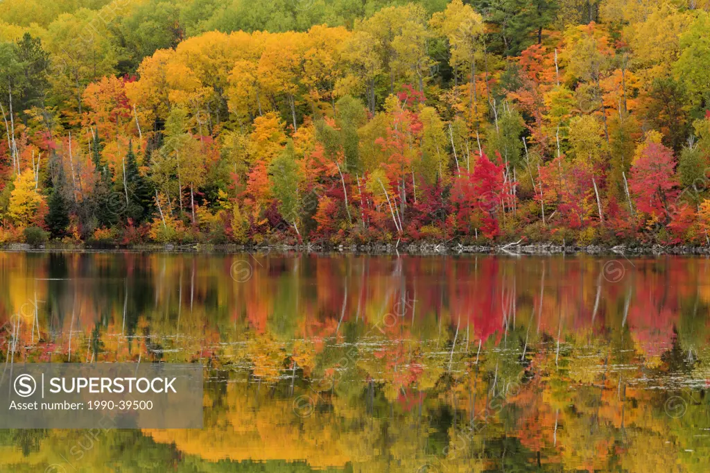 Autumn reflections in Apsey Lake. Espanola, Ontario, Canada.