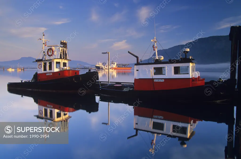 Tug boats in Cowichan Bay during sunrise, Vancouver Island, British Columbia, Canada