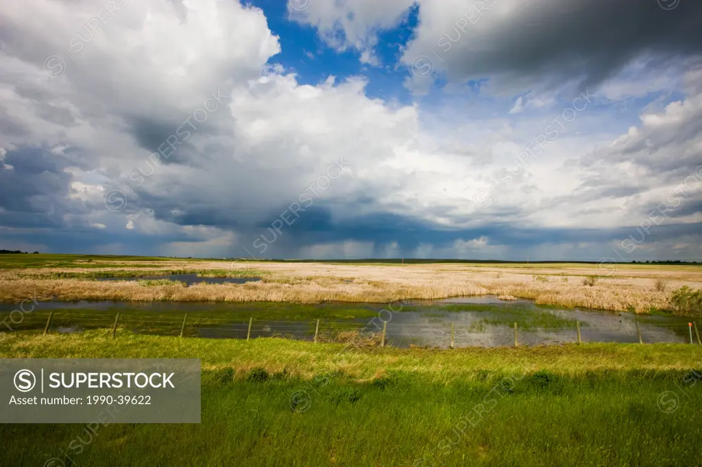 Storm clouds over prairie, Ralston, Alberta, Canada.