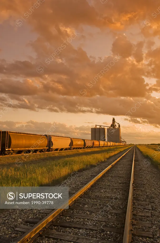 inland grain terminal with rail hopper cars in the foreground, near Estevan, Saskatchewan, Canada