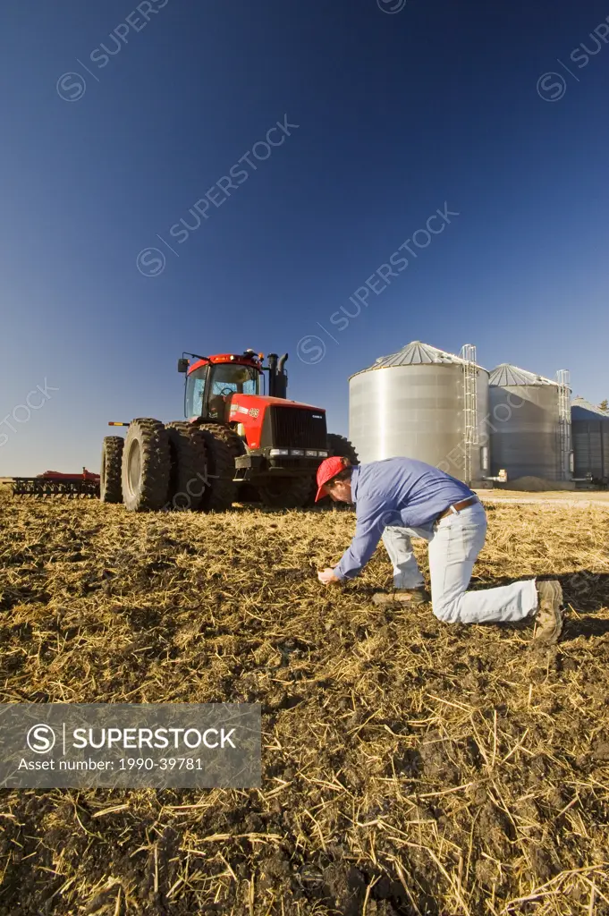 a man examines newly cultivted soil and wheat stubble with tractor pulling cultivating equipment and grain storage bins in the background, near Lorett...