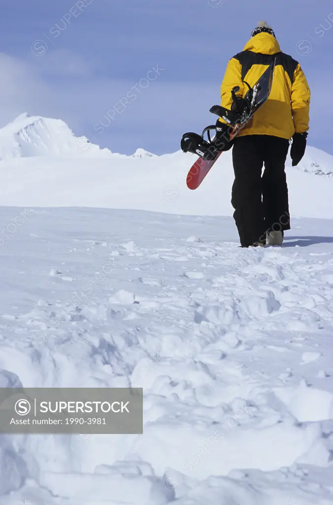 Snowboarder hiking into alpine, Hudson Bay Mountain, Smithers, British Columbia, Canada