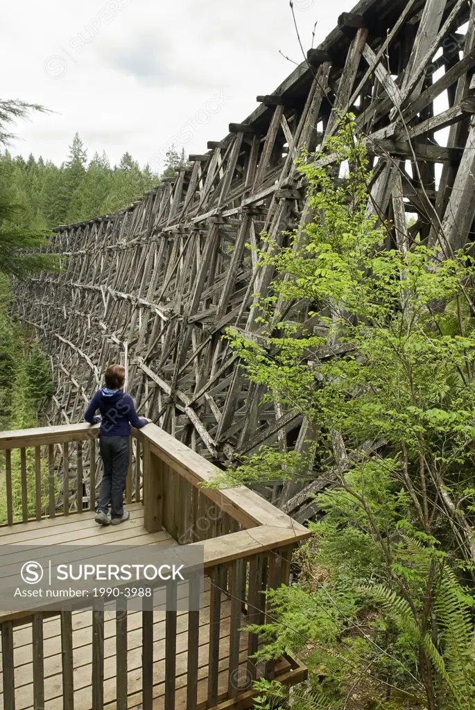Kinsol trestle, part of the Trans Canada Trail, Vancouver island, British Columbia, canada
