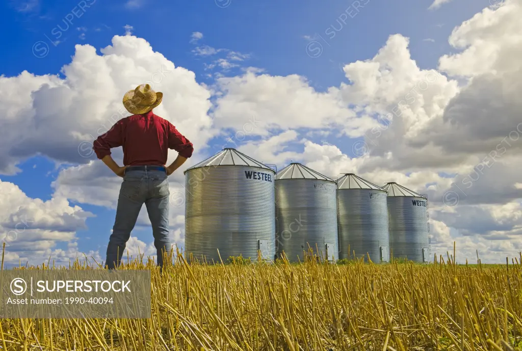a man looks out over a grain stubble field and grain storage bins near Carey, Manitoba ,Canada