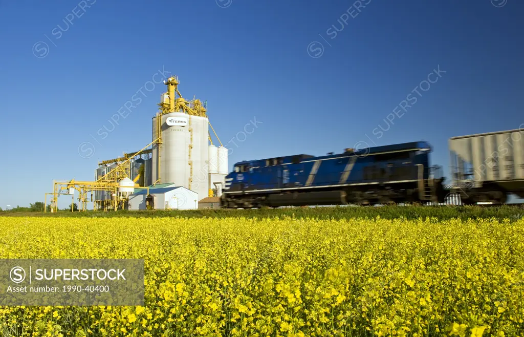 a moving locomotive passes a canola field and inland grain terminal near Portage la Prairie, Manitoba, Canada