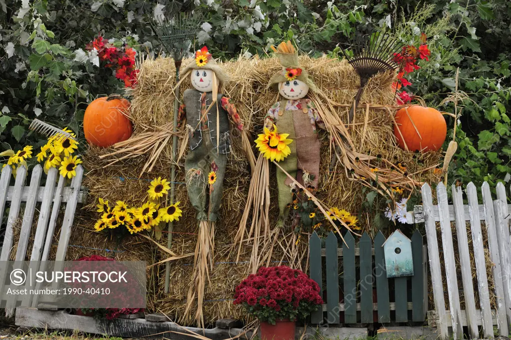 Autumn harvest display. Greater Sudbury, Ontario, Canada.