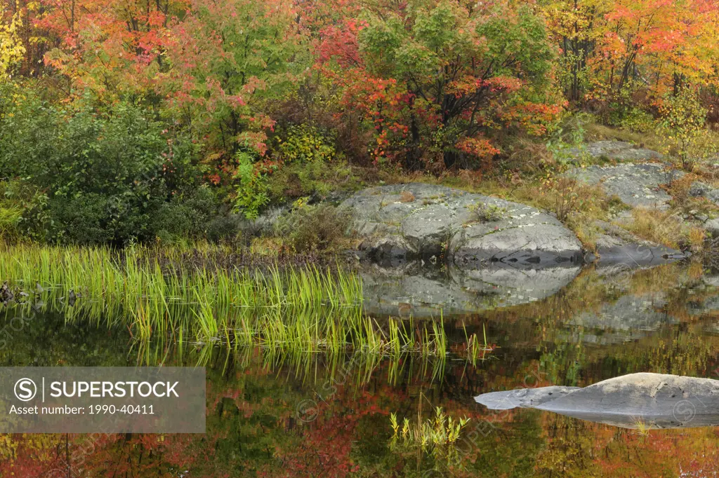 Autumn reflections in Fairbank Creek. Greater Sudbury, Ontario, Canada.