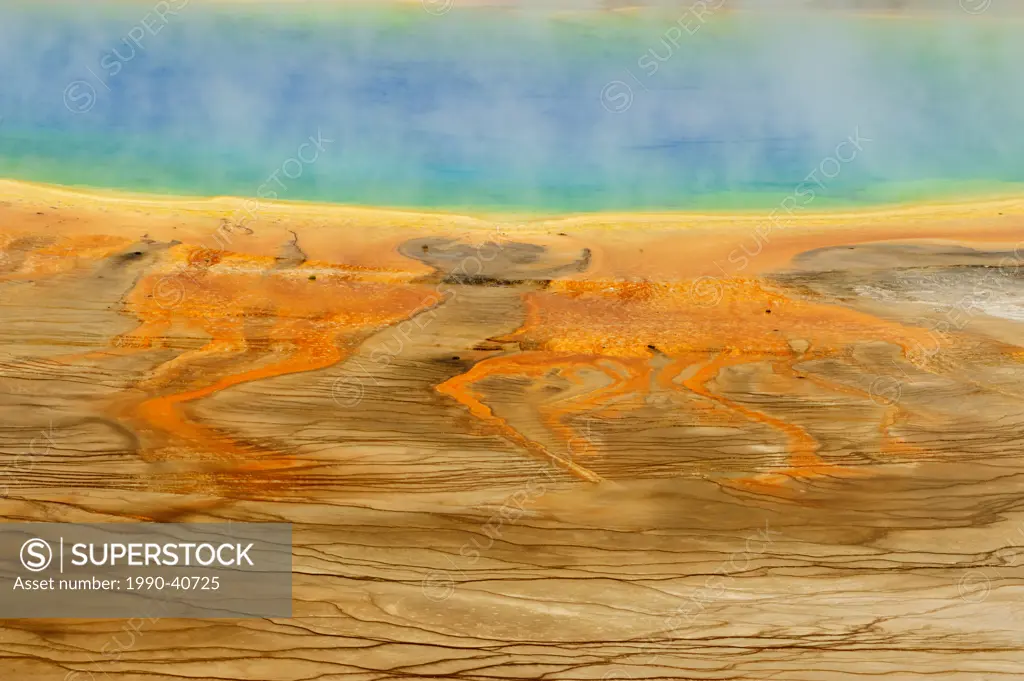 Grand Prismatic Spring from high viewpoint. Yellowstone National Park, Wyoming, United States of America.
