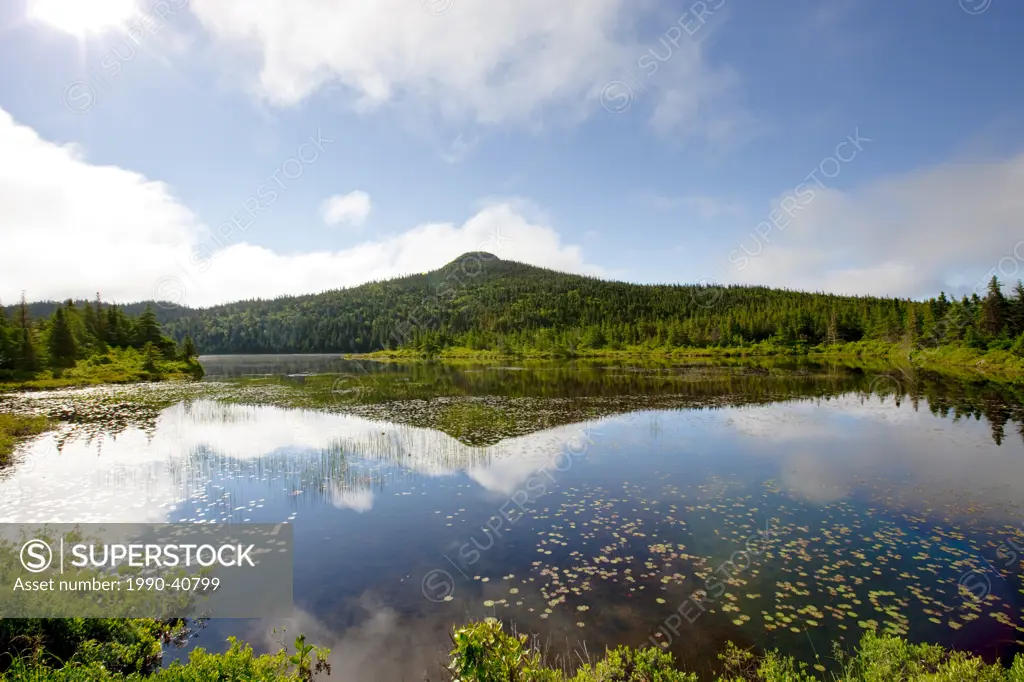 Pond in spring time near Colbert´s Cove, Newfoundland and Labrador, Canada.