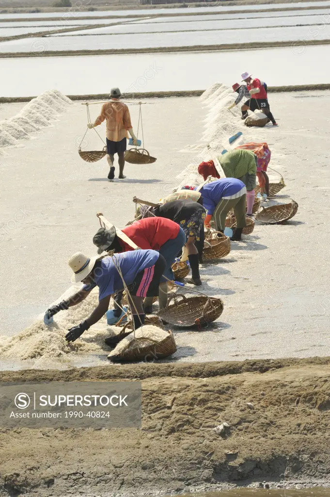 migrant Burmese workers transporting salt to shore north of Chao Samran, Phetchaburi Province, Thailand