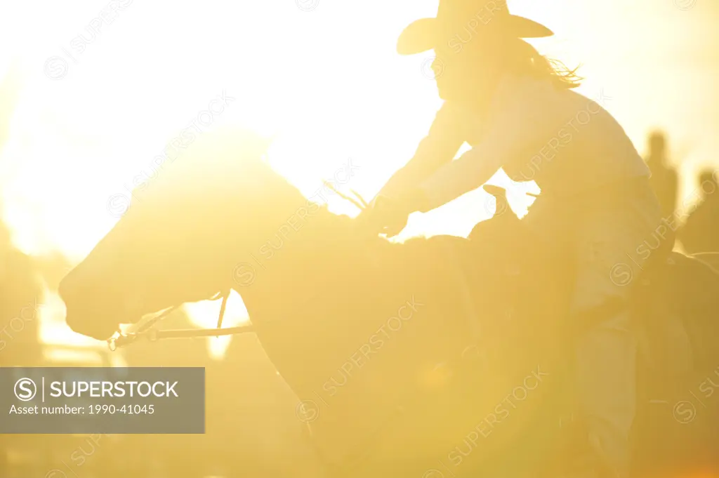 A silhouette of a rodeo rider competing in a barrel racing event under backlit sunny arena conditions.