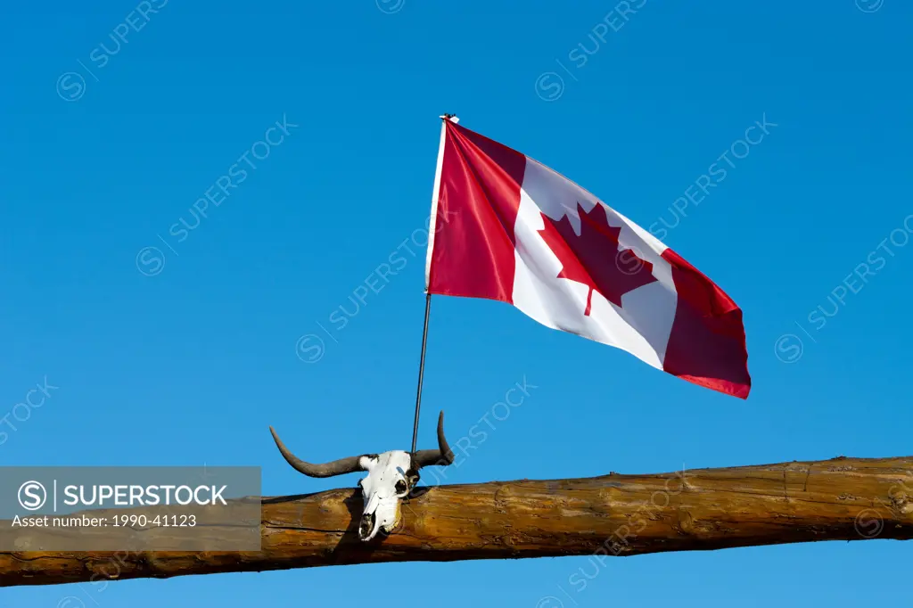 Canada Flag and cattle skull on ranch gate near Hanna, Alberta, Canada.