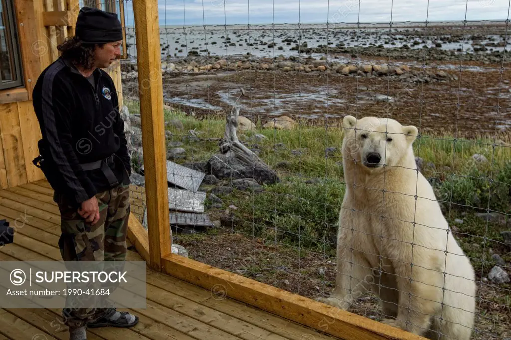 Polar bear and guide at Seal River Lodge, Hudson´s Bay, Manitoba.